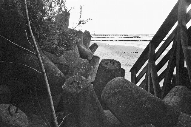 Image description